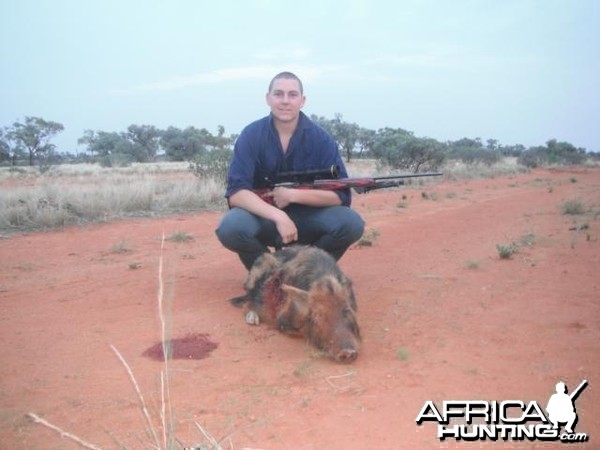 Hunting Pig in Australia