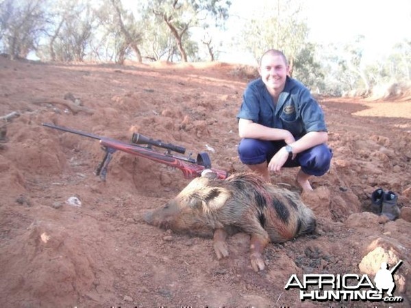 Hunting Pig in Australia