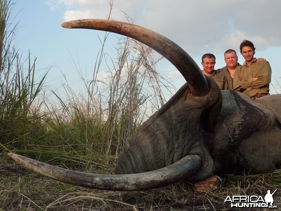 2,01m Elephant Selous July 2011