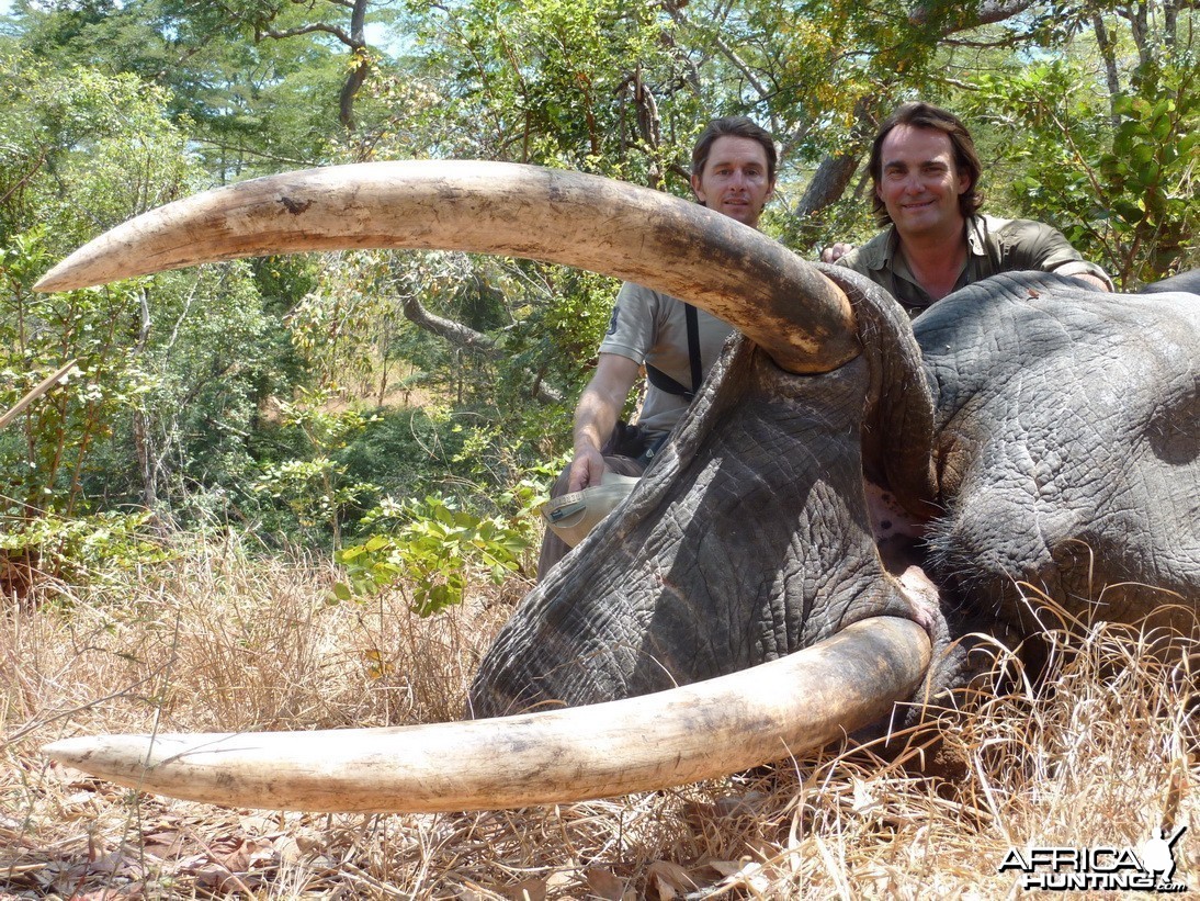 Selous Elephant 2011