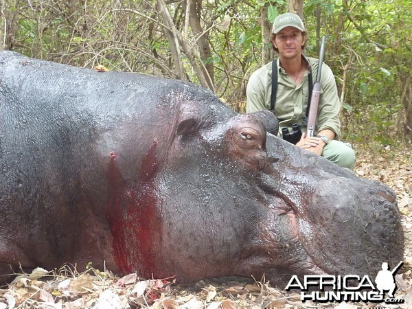 Hippo Tanzania