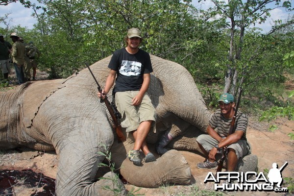 Botswana Elephant