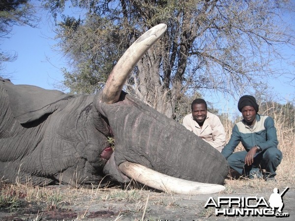 Elephant Trackers Caprivi