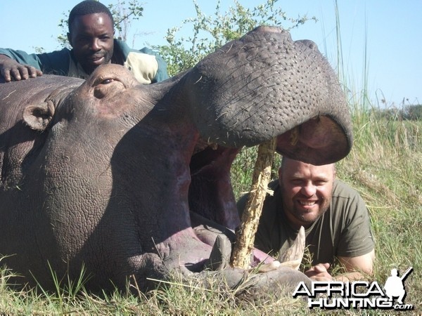 Hippo Caprivi