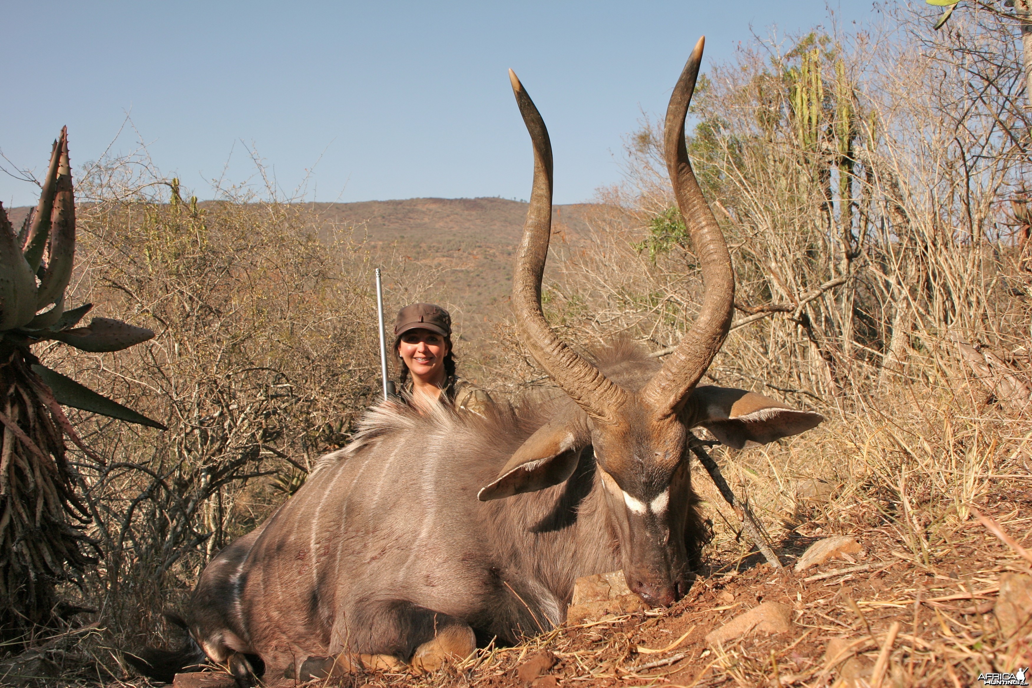 Nyala