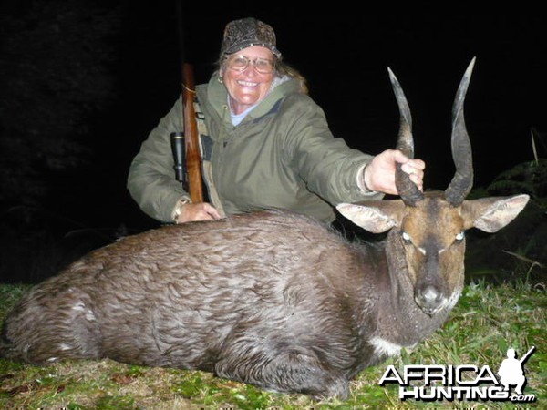 Bushbuck