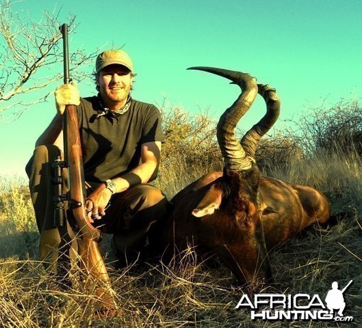 Red Hartebeest