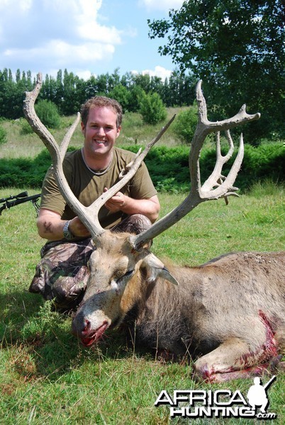 Hunting Pere David's Deer in the UK