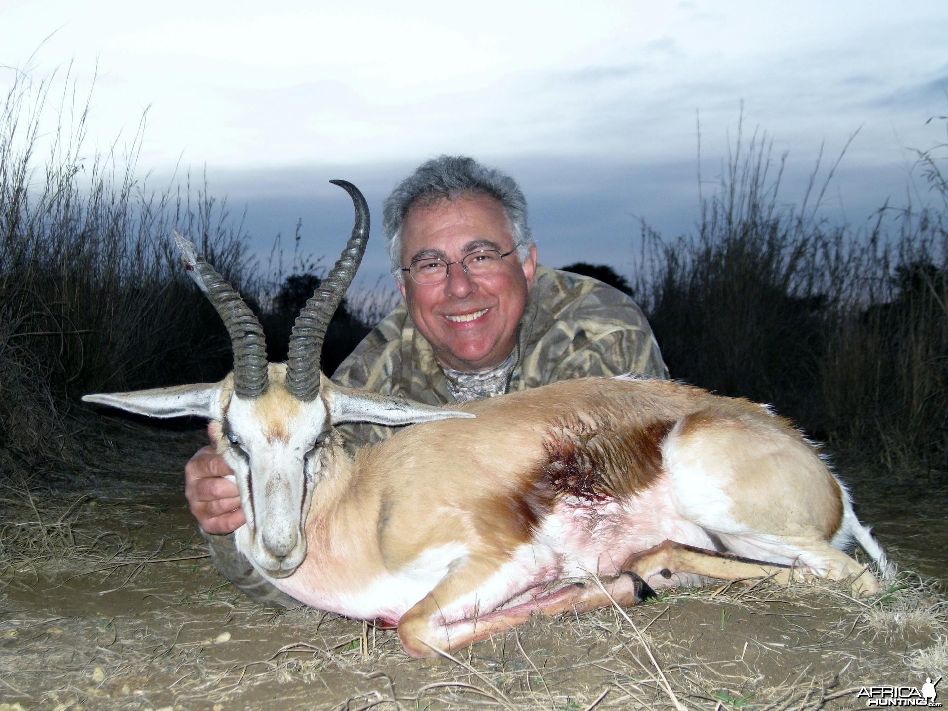 Springbok