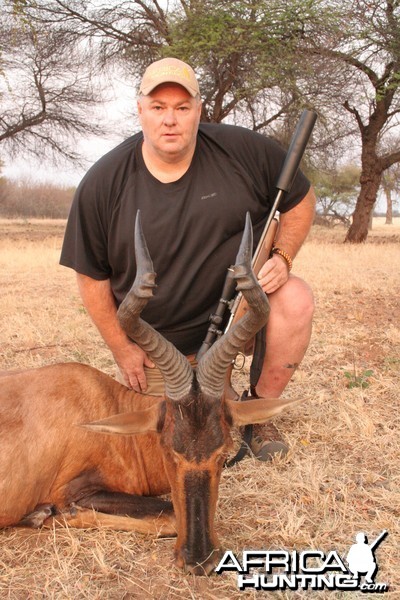 Hartebeest