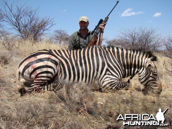 Zebra