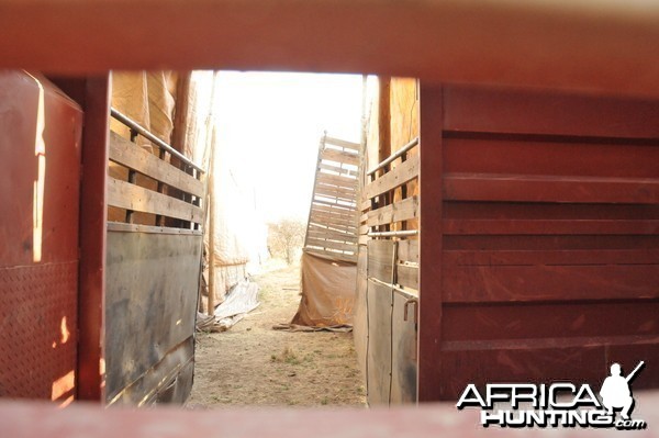 Game Capture Namibia