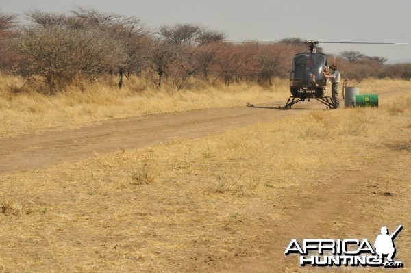 Game Capture Namibia