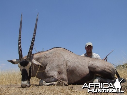 Gemsbok