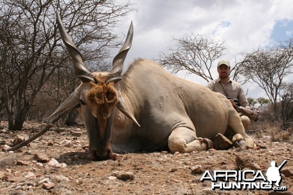 Cape Eland