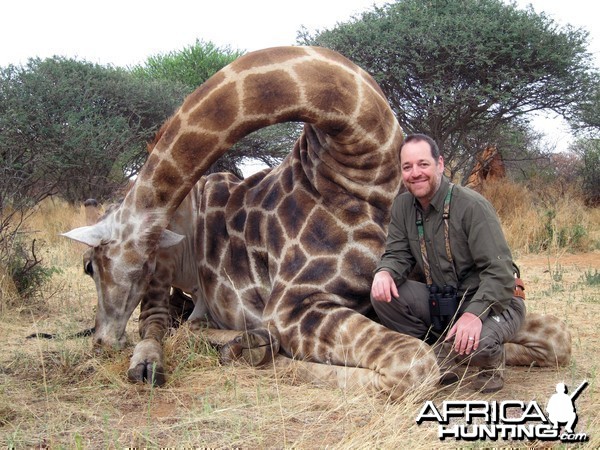 Setting up a Giraffe for trophy pictures