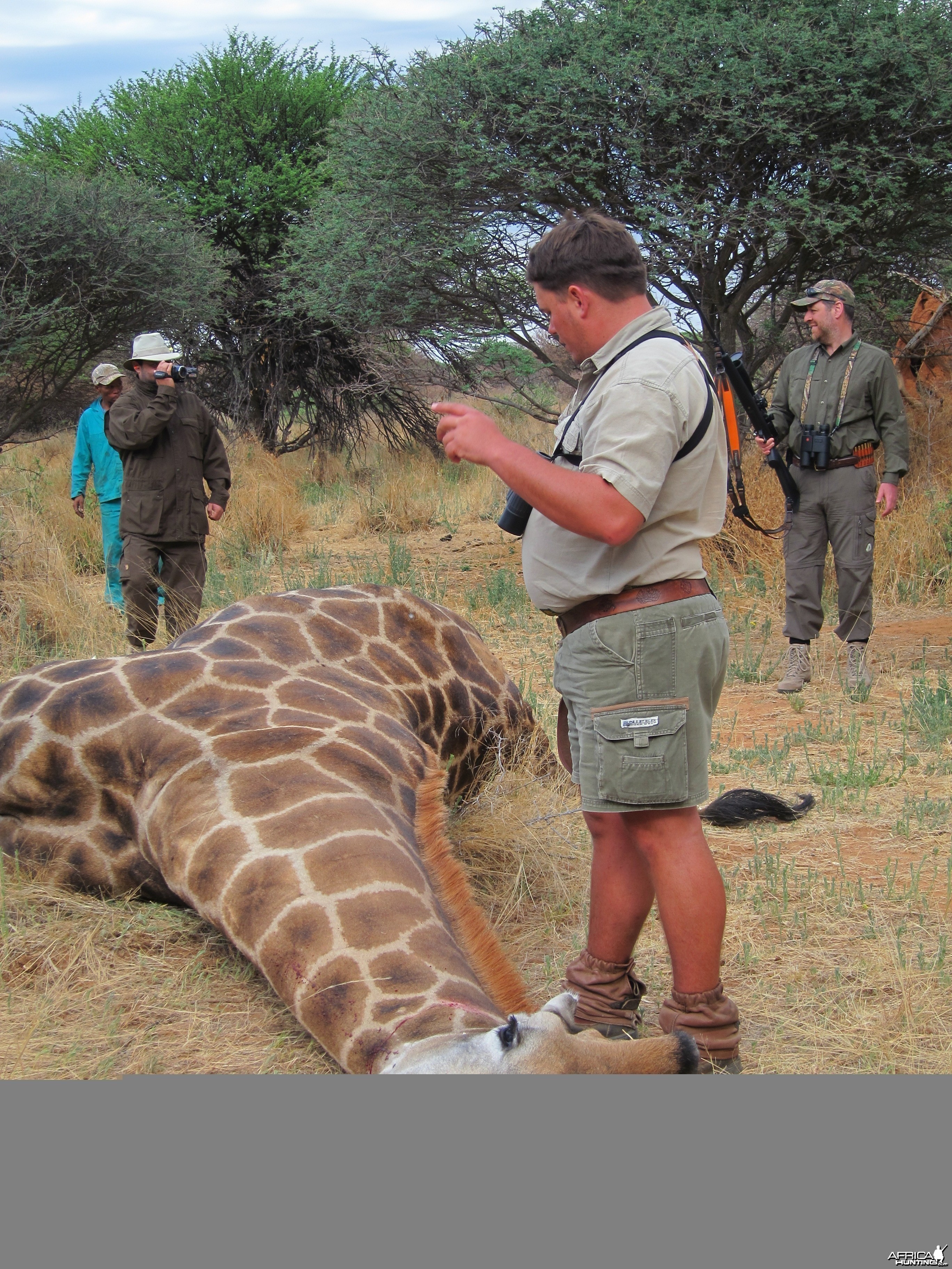 Setting up a Giraffe for trophy pictures