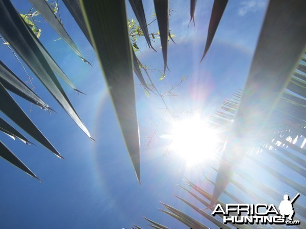 Sun Halo in Namibia