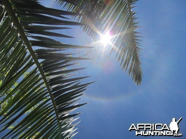 Sun Halo in Namibia