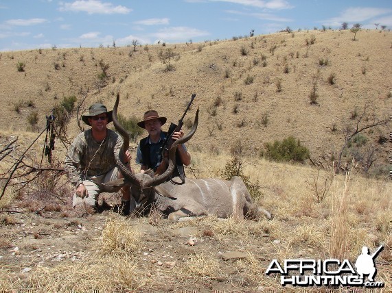 Namibia Greater Kudu