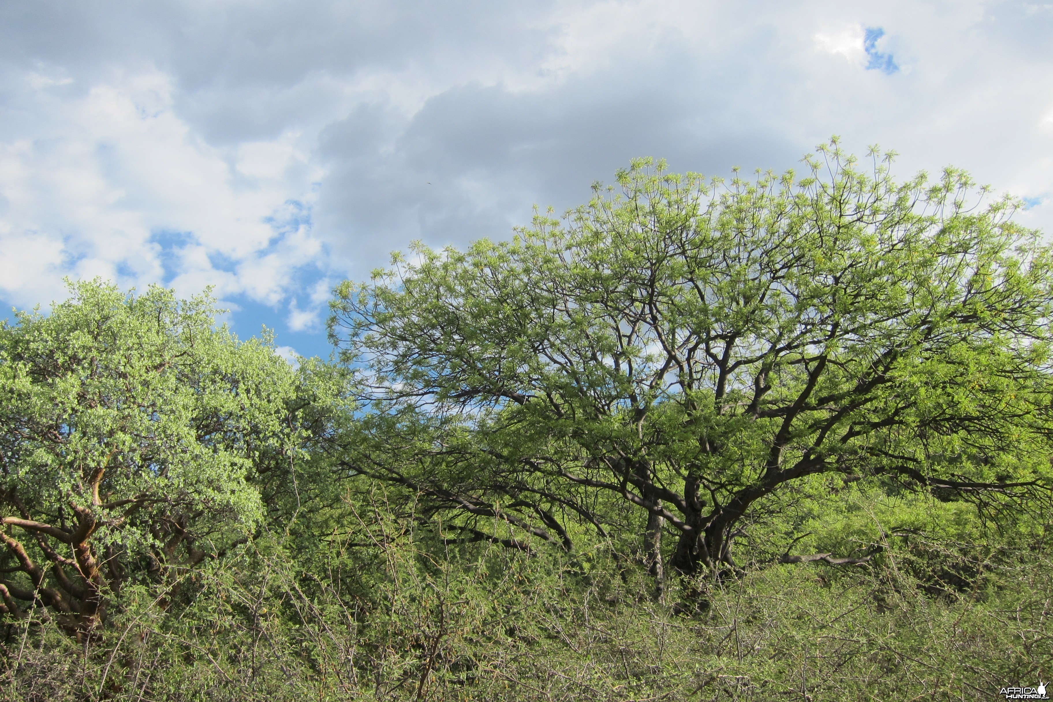 Namibia