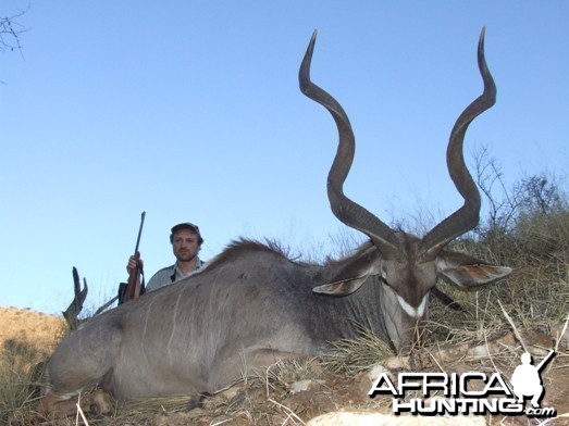 Namibia Greater Kudu