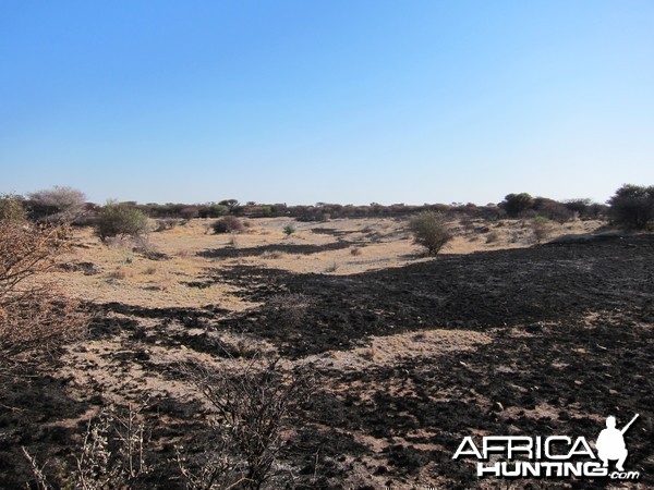 Controlled Bush Fire Namibia