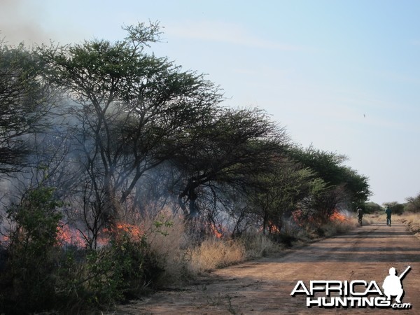 Controlled Bush Fire Namibia