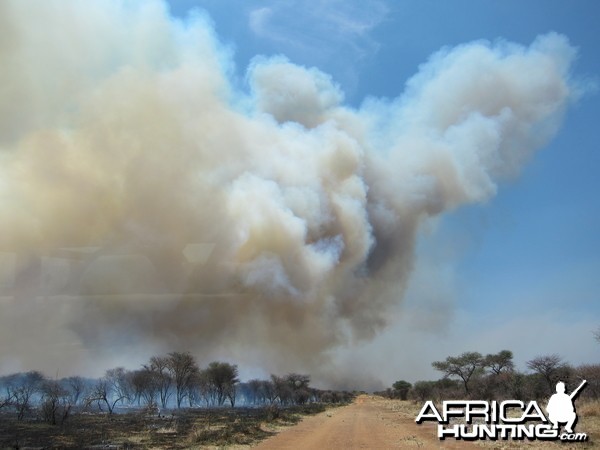 Controlled Bush Fire Namibia