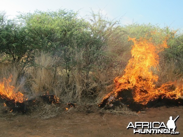 Controlled Bush Fire Namibia