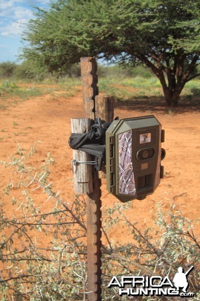 Trail Cam Set Up