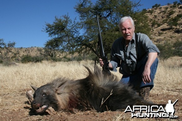 Brown Hyena