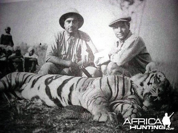 Hunting Tiger in India