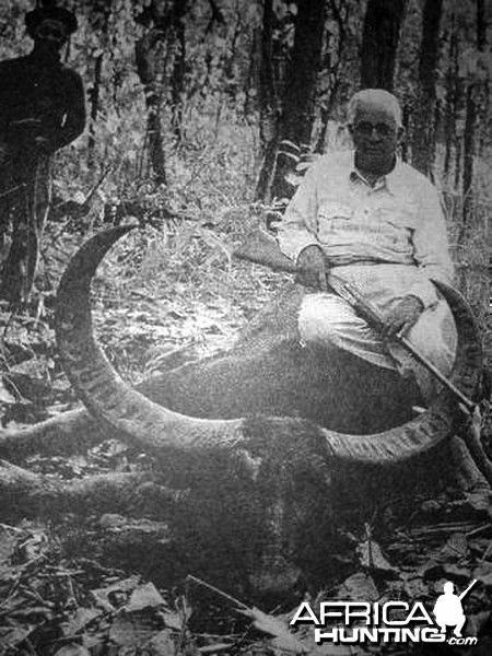 Maharaj Kumar with Asiatic Buffalo