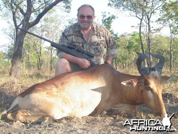 Hartebeest Mozambique