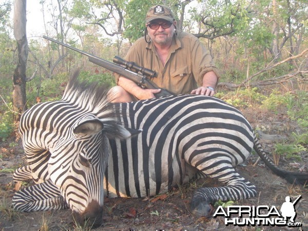 Zebra Mozambique