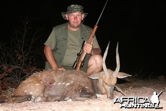 Bushbuck