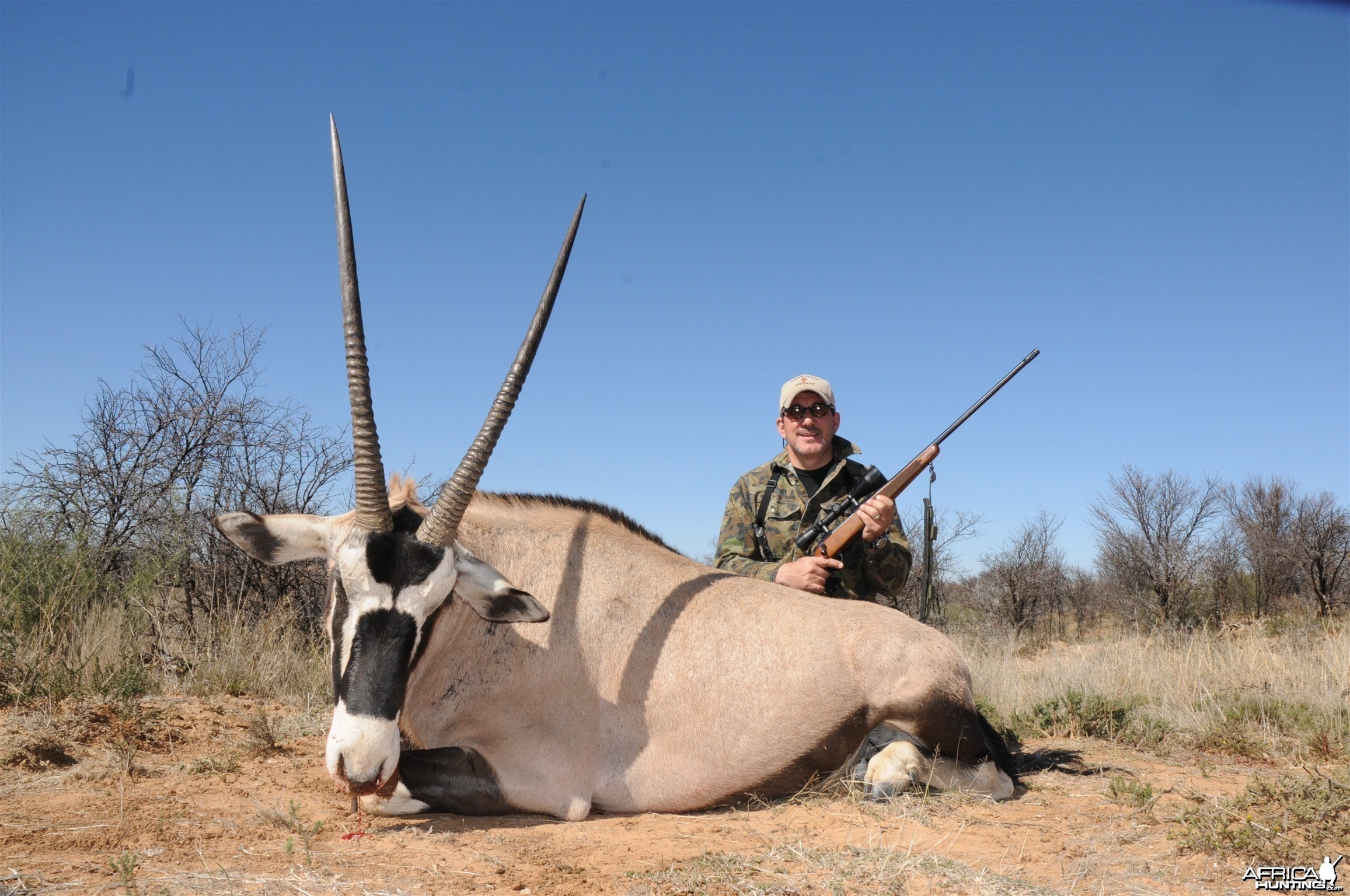 Gemsbok
