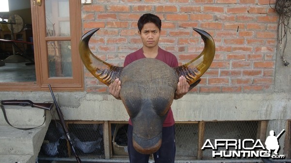 Gaur Trophy