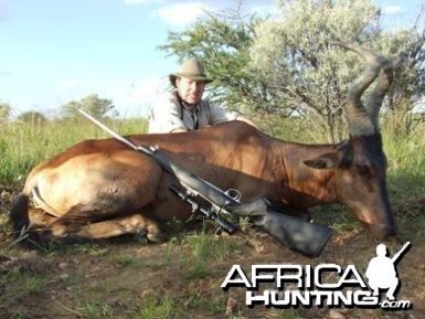 Hartebeest