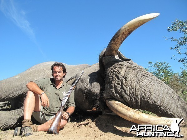Elephant Botswana 2011  65 x 62 Pounds