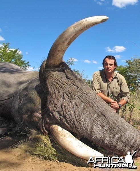 Elephant Botswana 2011 72x69