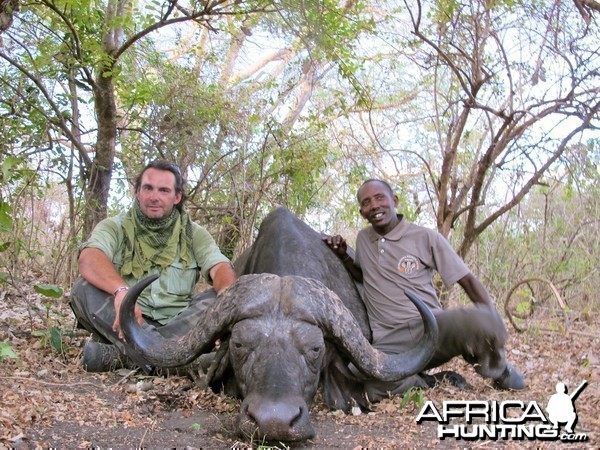 Buffalo Selous Game Reserve