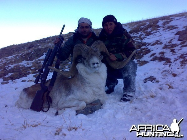 Hunting Marco Polo Sheep in Kyrgyzstan