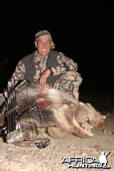 East Cape Bushpig