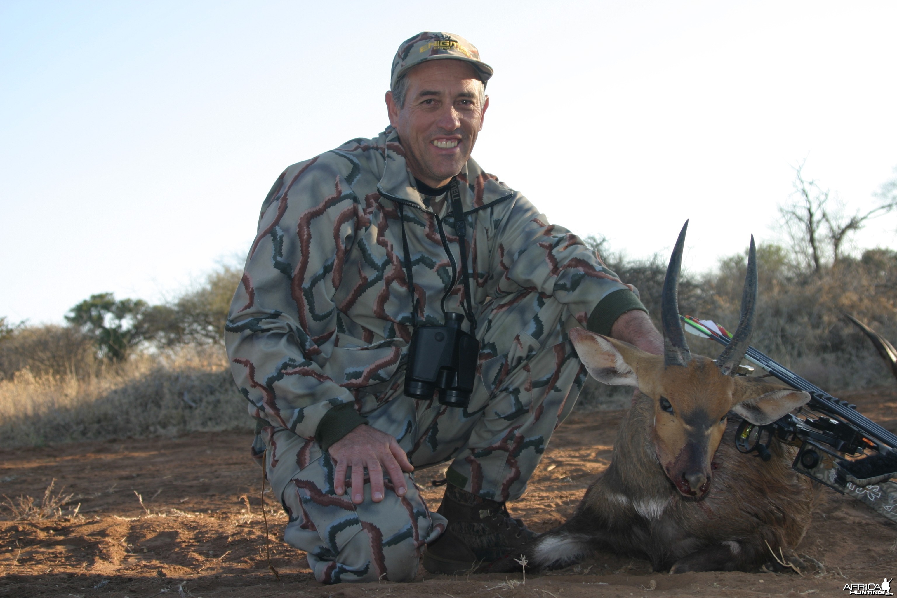 2nd Limpopo Bushbuck