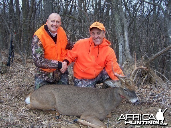 Missouri White-tailed deer