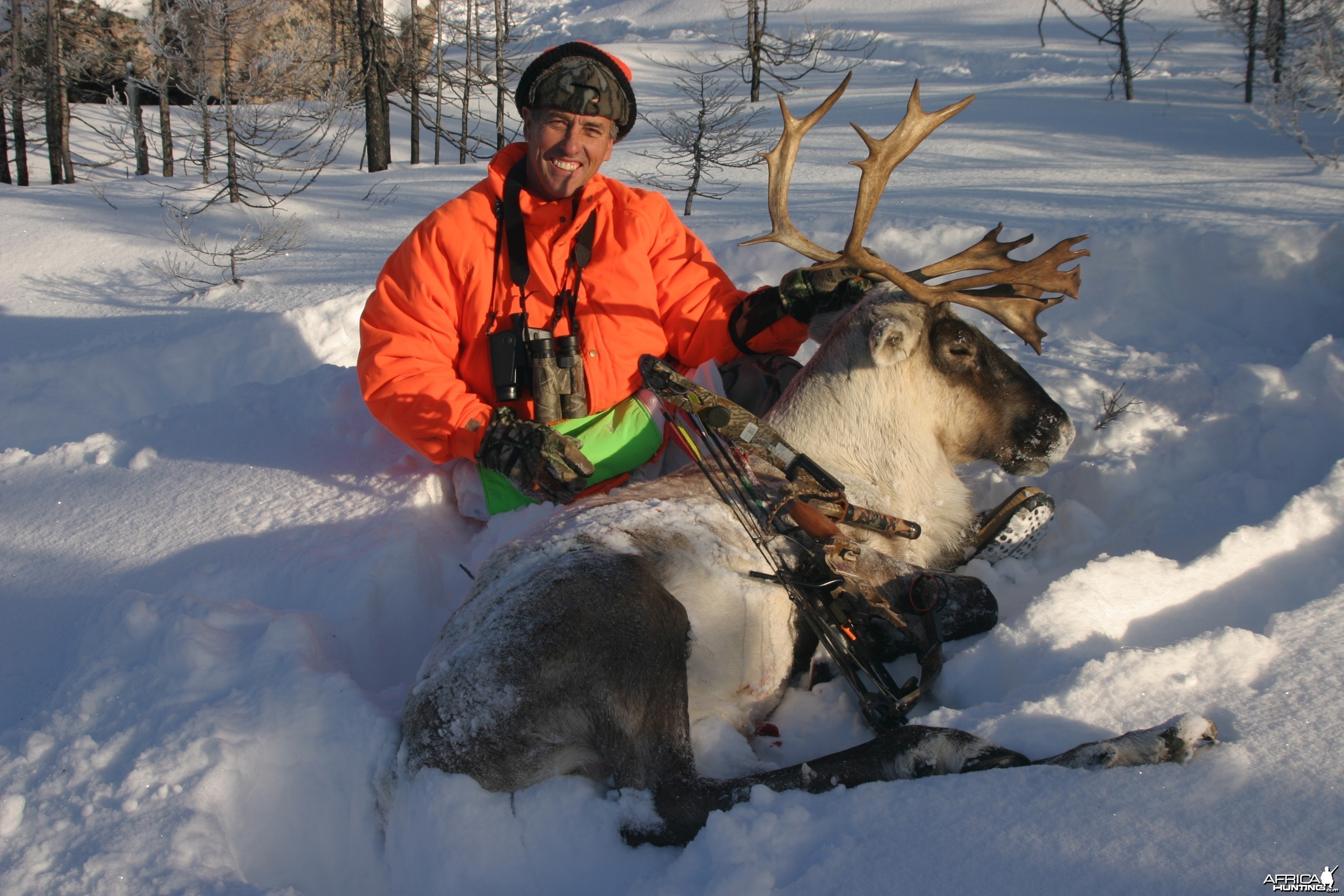 Quebec-Labrador Caribou