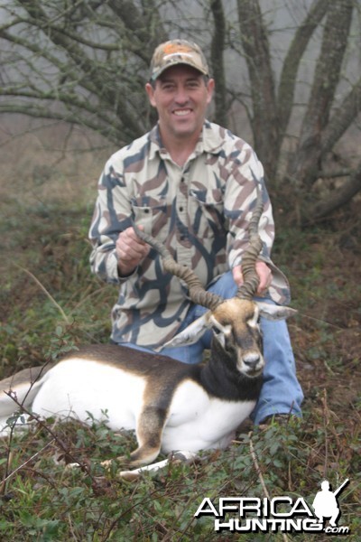 Blackbuck-Texas