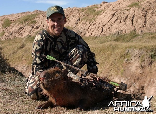 Capybara-Argentina